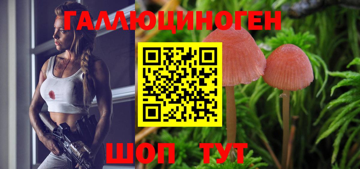 Псилоцибиновые грибы Psilocybine cubensis Сорочинск