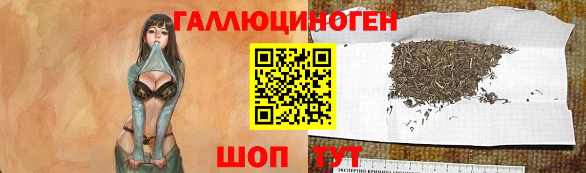 Псилоцибиновые грибы мицелий  Вход с VPN  Сорочинск 